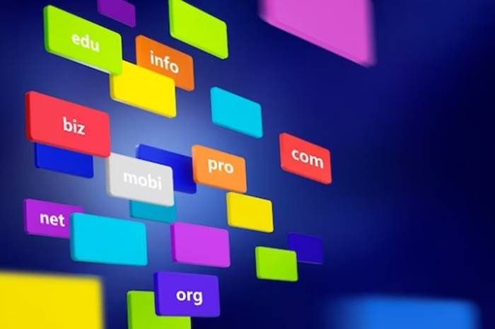 Bagaimana Cara Kerja Domain Ini Penjelasan Lengkapnya!